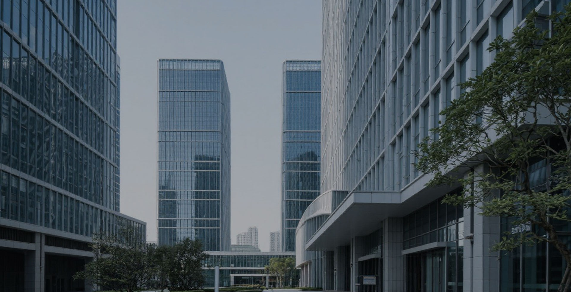 �ŷ������S��